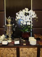 Anggrek Bulan Premium Putih