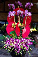 Dekorasi Anggrek Bulan Premium